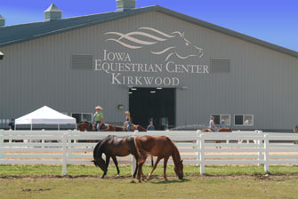 Horses graze outside the Iowa Equestrian Center