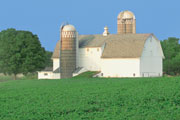 Agriculture Business