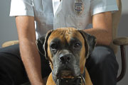Humane Officer Training