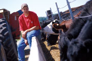 Agriculture Production Management