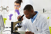 Medical Laboratory Technology