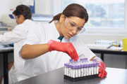 Biological Sciences Transfer