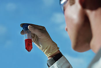 Science, Technology, Engineering and Mathematics