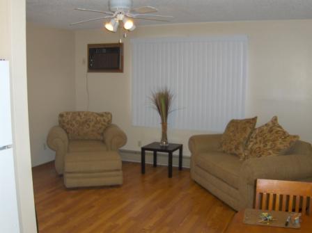 Picture of Premium Units Living Room