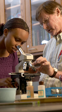 Honors Program