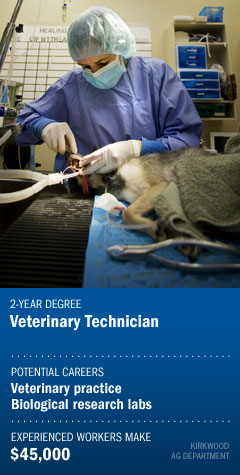 Veterinary Technician
