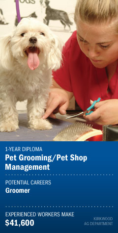 Pet Grooming/Pet Shop Management