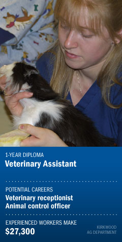 Veterinary Assistant