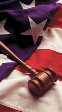 Career Option - Criminal Justice