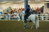 Eq 04 Back of horse