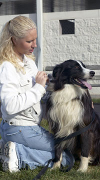 Girl and Dog 1