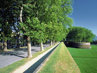 Italy 5