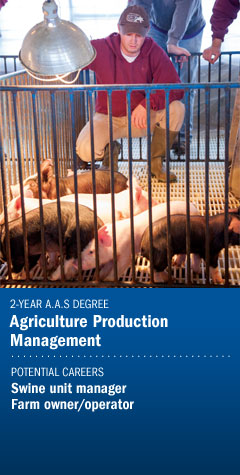 Program - Agriculture Production Management