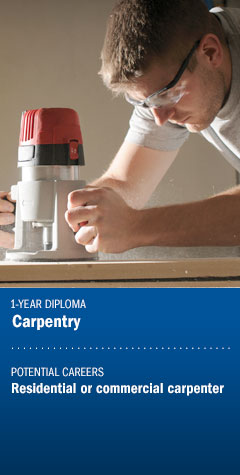 Program : Carpentry