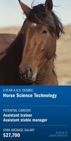 horse science