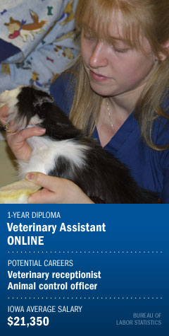 Program : Veterinary Assistant Online