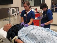 Sim Center