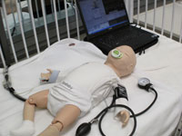Sim Center