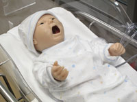 Sim Center