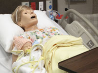 Sim Center