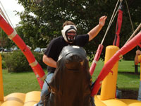 movin and shakin horse4