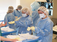 WPLC job shadow 1