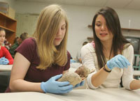 WPLC job shadow 3